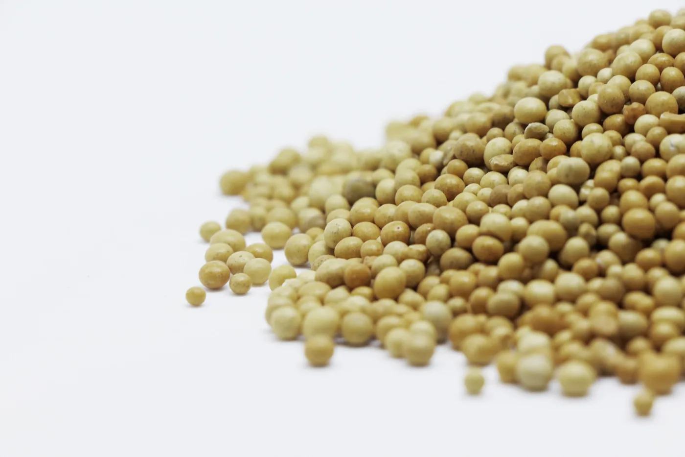 Mustard Seed